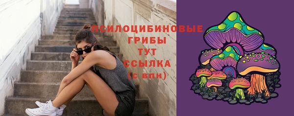 Альфа ПВП Абаза