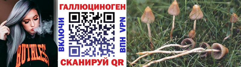 Псилоцибиновые грибы Cubensis  где продают наркотики  Юрюзань 